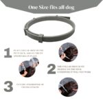 VANDITA'S Flea and Tick Collar for Dogs & Cats | Long-Lasting Protection Up to 8 Months | Waterproof Adjustable Pet Collar | Kills Fleas, Ticks, Larvae & Eggs | Safe for Puppies & Kittens - Image 8