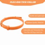 VANDITA'S Flea and Tick Collar for Dogs & Cats | Long-Lasting Protection Up to 8 Months | Waterproof Adjustable Pet Collar | Kills Fleas, Ticks, Larvae & Eggs | Safe for Puppies & Kittens - Image 10