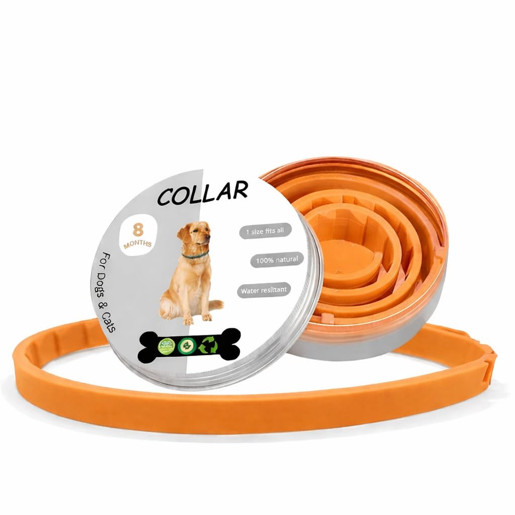 FNT ORANGE