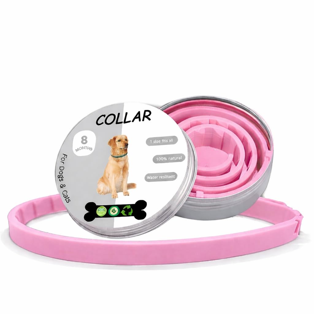 FNT PINK