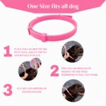 VANDITA'S Flea and Tick Collar for Dogs & Cats | Long-Lasting Protection Up to 8 Months | Waterproof Adjustable Pet Collar | Kills Fleas, Ticks, Larvae & Eggs | Safe for Puppies & Kittens - Image 17