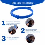 VANDITA'S Flea and Tick Collar for Dogs & Cats | Long-Lasting Protection Up to 8 Months | Waterproof Adjustable Pet Collar | Kills Fleas, Ticks, Larvae & Eggs | Safe for Puppies & Kittens - Image 4