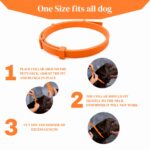 VANDITA'S Flea and Tick Collar for Dogs & Cats | Long-Lasting Protection Up to 8 Months | Waterproof Adjustable Pet Collar | Kills Fleas, Ticks, Larvae & Eggs | Safe for Puppies & Kittens - Image 12