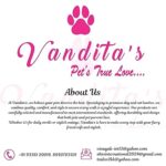 VANDITA'S Cat/Puppy Pearl Jewellery Collar with Multicolour Bells ( OFF WHITE ) - Image 6