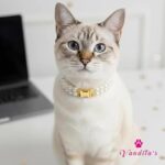 VANDITA'S Double Strand Pearl Cat & Puppy Collar | Faux Pearl Pet Necklace with Matte Gold Quick Release Buckle | Luxury Collar for Cats, Kittens & Small Dogs - Image 4
